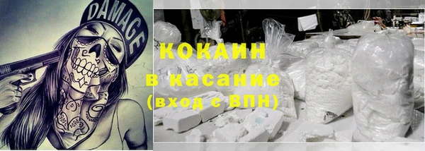 молекула духа Ельня